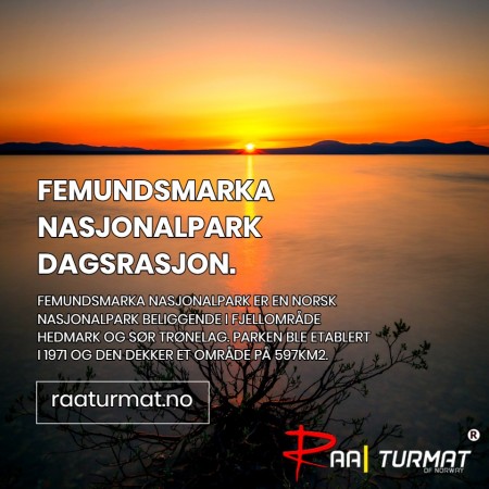 RAA Koordinatmat 62.144N 12.118Ø Femundsmarka dagsrasjon
